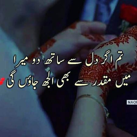 True🌷🌷