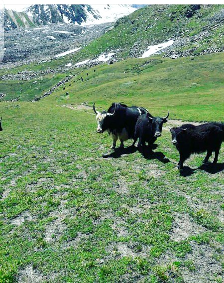 BeautiFull Nature🇵🇰