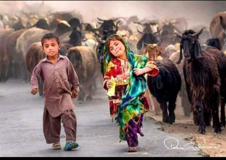 .
یوں محبت سے نہ ہم خانہ بدوشوں کو بلا... 
اتنے سادہ  ہیں کہ  گھر  بار  اٹھا  لائیں  گے...