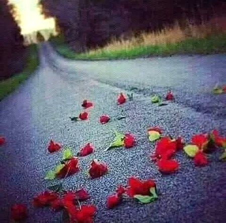 Beautiful Nature image