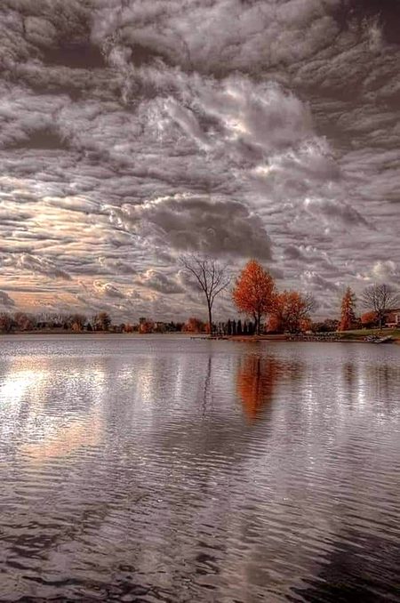 Beautiful Nature image