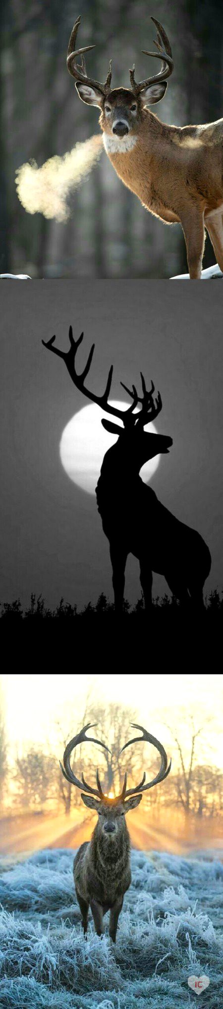 Beautiful Nature image