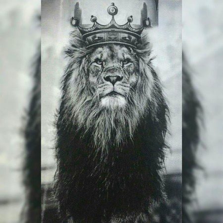 I’m not perfect,
But I’m always real.