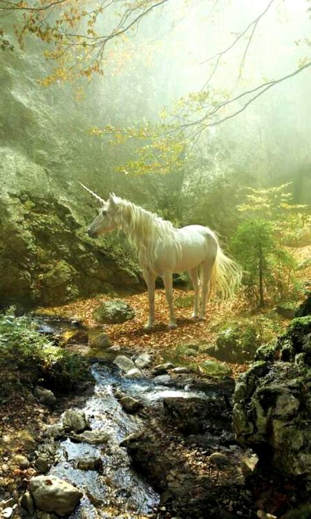 Beautiful Nature image