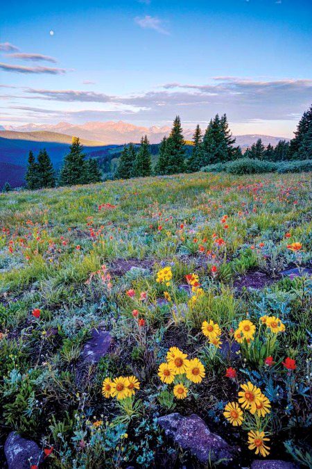 Beautiful Nature image