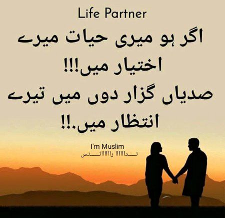 .r1 all gdnyt tc all