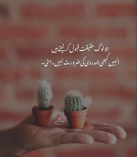 Life Advice image