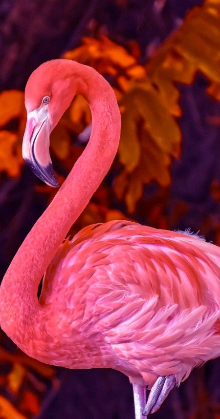 Beautiful Nature image