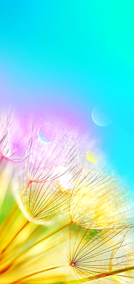 Digital Art image
