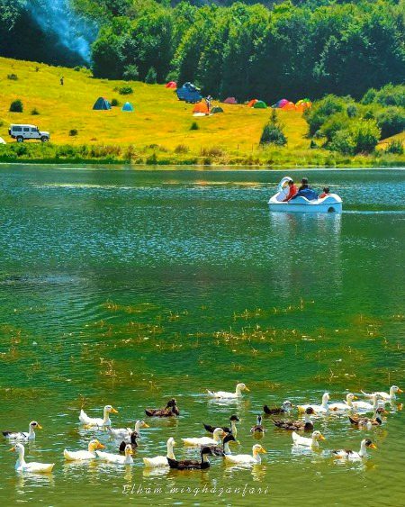 Beauti Of Shiraz IRAN!🦋🌾💚🍃🦆