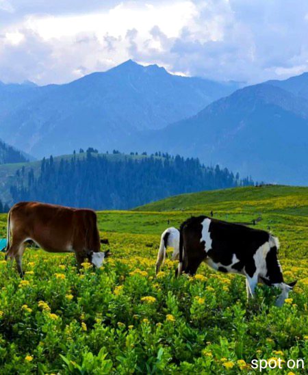 Beautiful Nature image