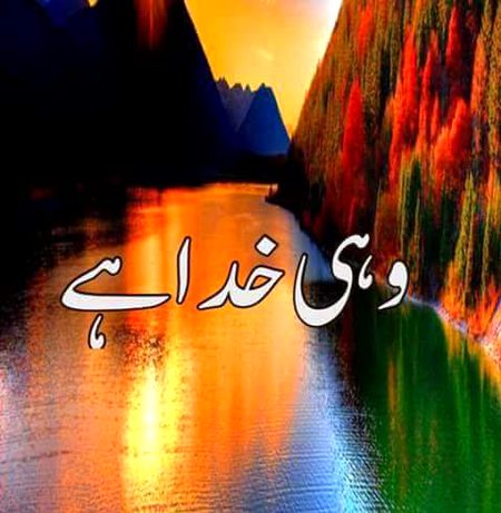 Beautiful Nature image