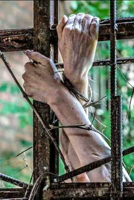 *_تو اگر اہلِ بصارت ہے تو حسّاس بھی بن_*🥀
*_دیکھ تصویر کی گہرائیاں، تصویر نہ دیکھ_*💚