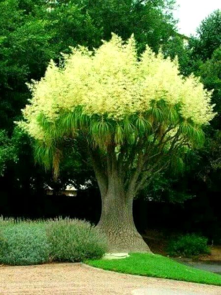 Beautiful Nature image