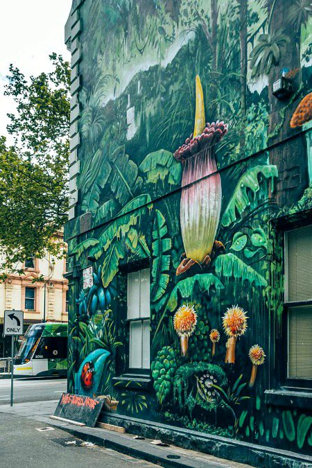 Street Art image
