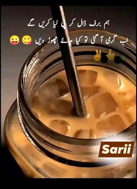 Kn kn chai lover ha meri trh