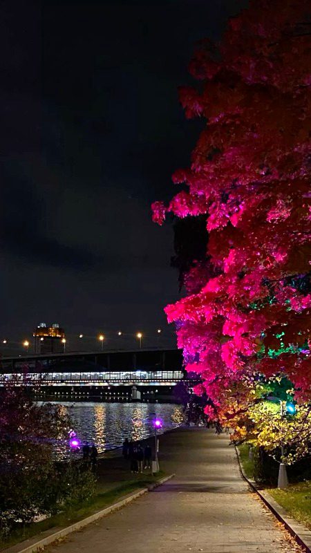 Beautiful Nature image