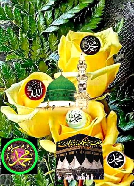 Islamic Quotes image