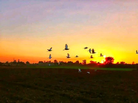 Beautiful Nature image