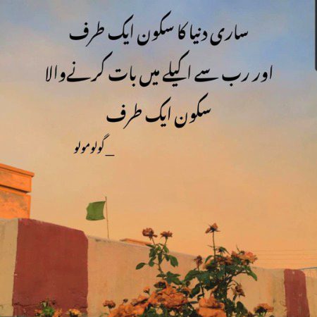 Islamic Quotes image