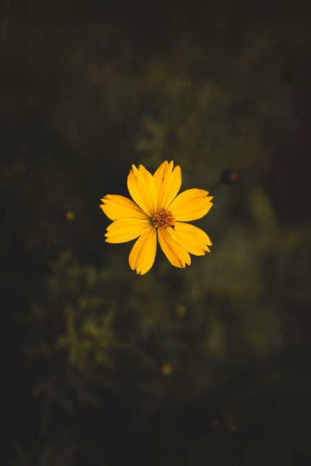 Beautiful Nature image