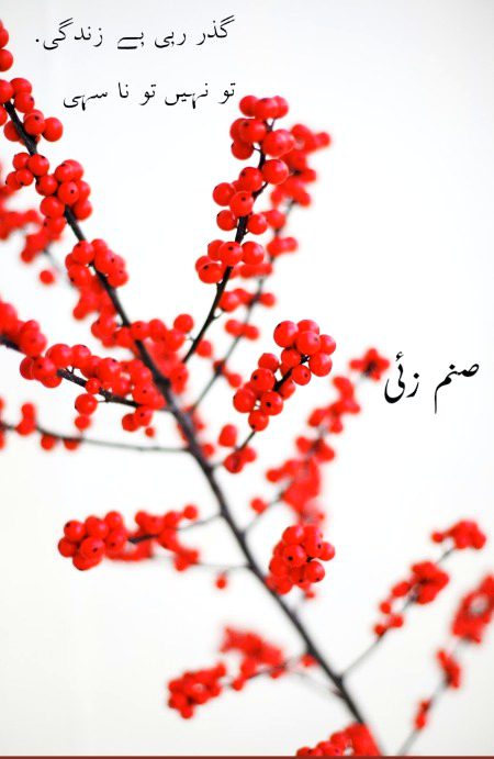 ❤💚💜❤💚💜❤💚