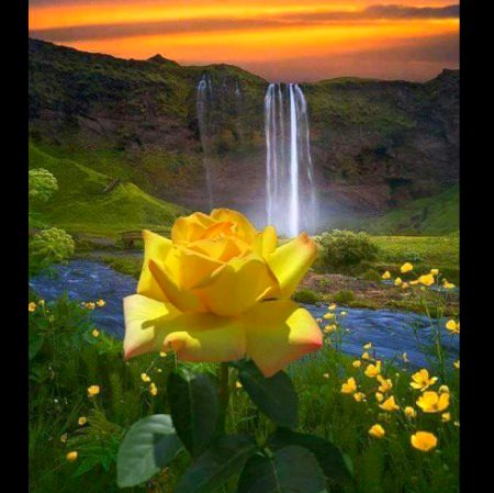 Beautiful Nature image