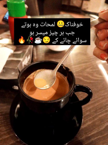 ایک کپ چائے ، گفتگو محبت ، فرصت کہ لمحے
ساقی یاد رکھنا زندگی کا کوئی اعتبار نہیں