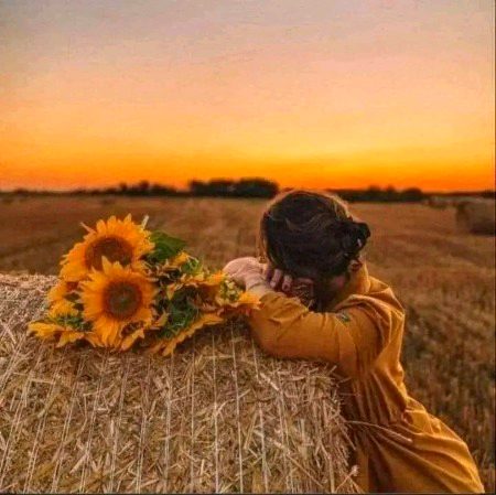 Beautiful Nature image
