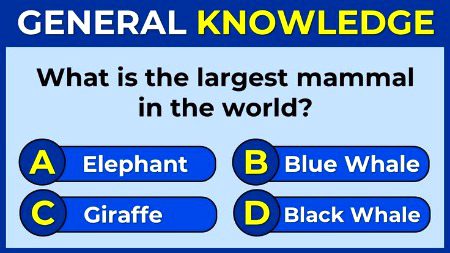 Knowledge Test image
