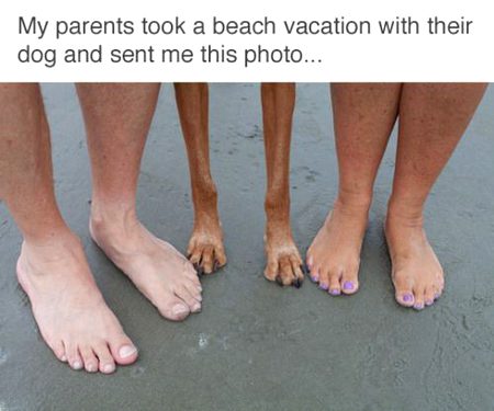 Memes & Satire image