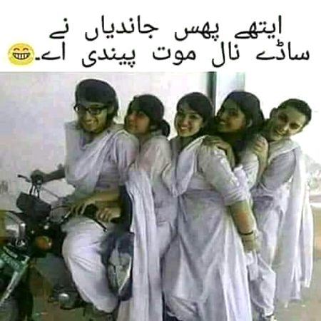 Memes & Satire image