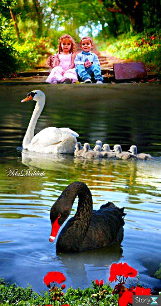 Beautiful Nature image