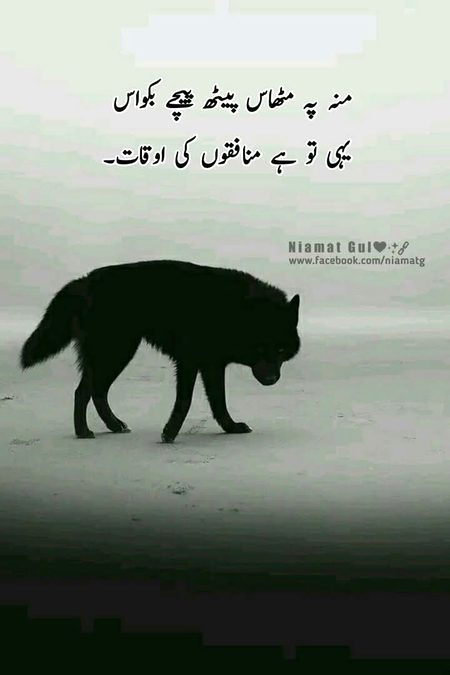 🙃😊🙃😊🙃😊