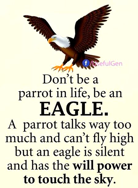 Life Advice image