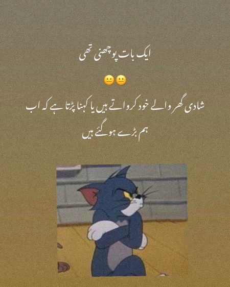 Memes & Satire image