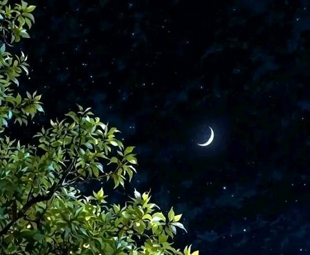 Beautiful Nature image