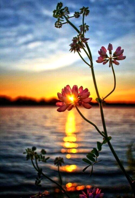Beautiful Nature image