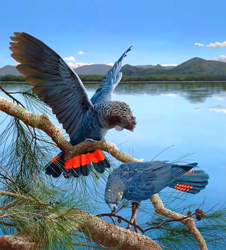 Beautiful Nature image