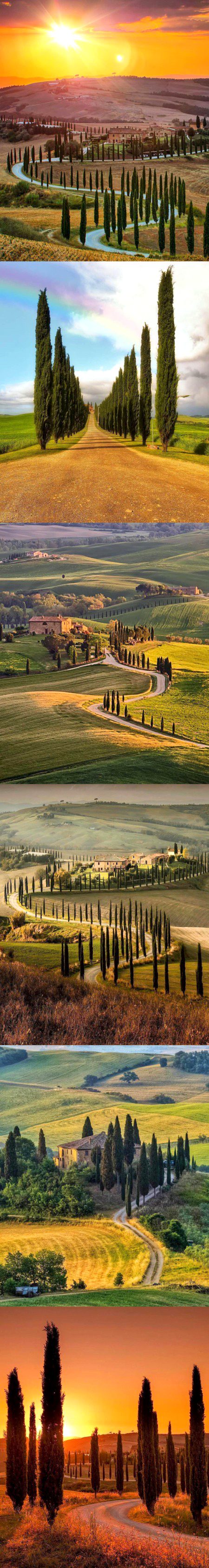Beautiful Nature image
