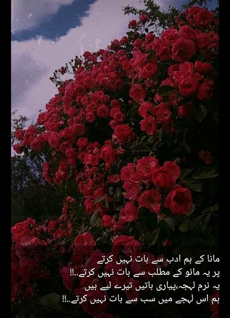Nice words