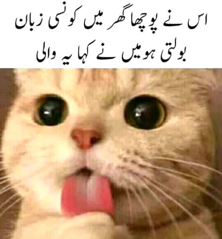Jokes image