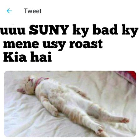 Damadam Roasting image
