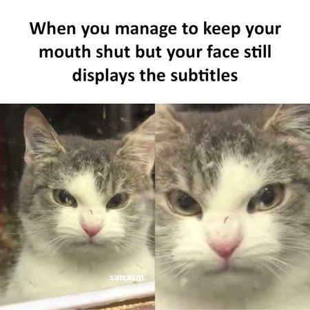 ..🤦🏻♀️🤦🏻♀️🤦🏻♀️🤷🏻♀️🤷🏻♀️