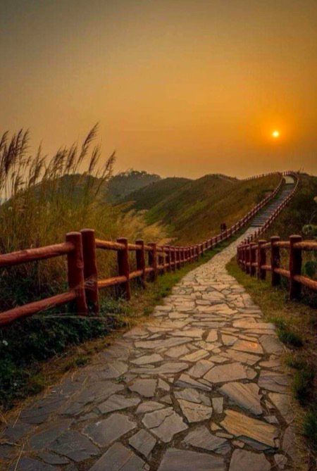 Beautiful Nature image