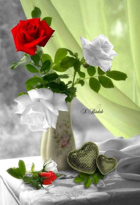 Beautiful Nature image