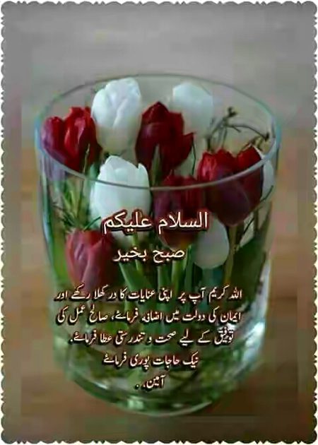 Sweet morning