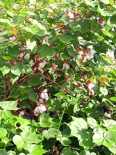 Beautiful Nature image