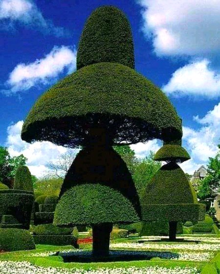 Beautiful Nature image