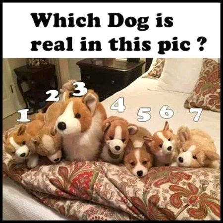 Riddles & Puzzles image
